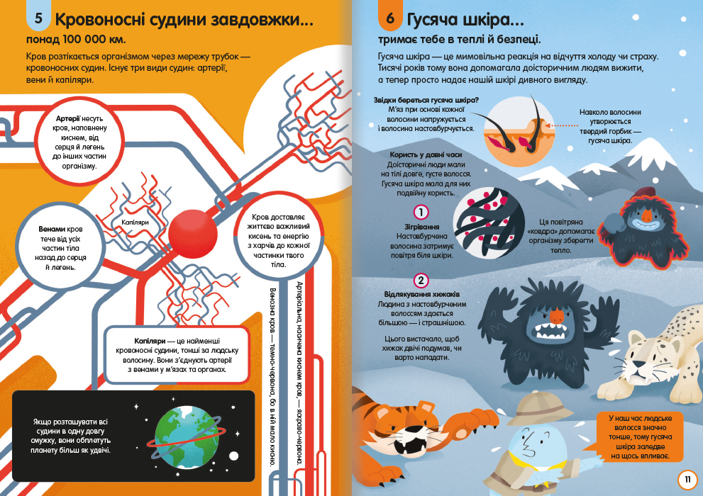Книголав 100 фактів про людське тіло - Алекс Фріт, Мінна Лес. Фото 7