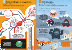 Книголав 100 фактів про людське тіло - Алекс Фріт, Мінна Лес. Фото 7