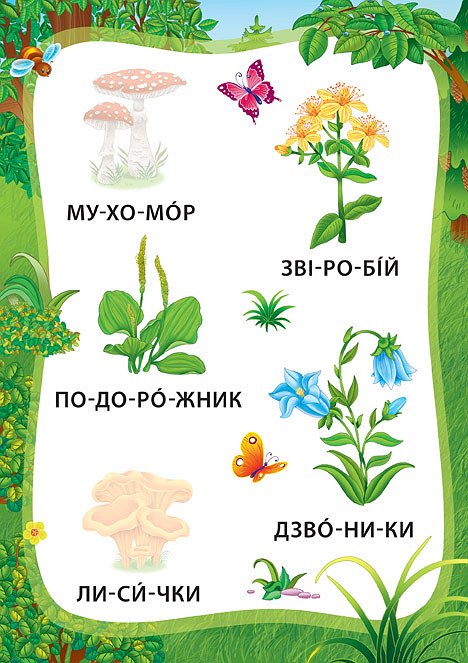 Книга Я читаю по складах. Пригоди в лісі. Книжка з наліпками. Фото 5