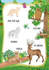 Книга Я читаю по складах. Пригоди в лісі. Книжка з наліпками. Фото 3