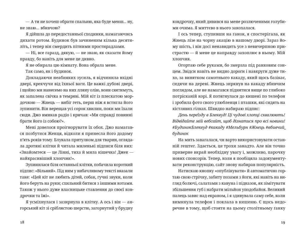 Книга Незнайомець нагорі - Ліза М. Матлін. Фото 5