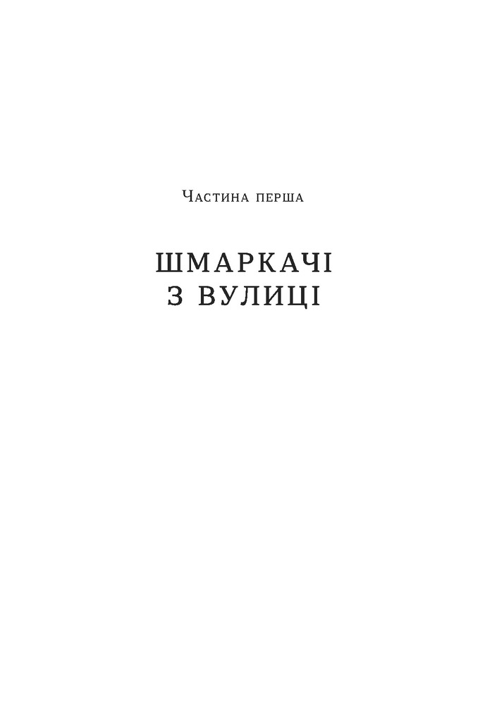 Книга Загублений принц - Наталя Кош. Фото 5