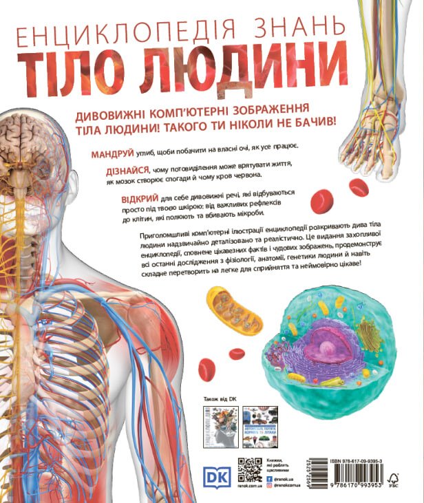 Енциклопедія знань. Тіло людини - Пітер Крісп, Філіп Базеліс, Стів Хоффман. Фото 2