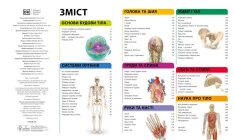 Енциклопедія знань. Тіло людини - Пітер Крісп, Філіп Базеліс, Стів Хоффман. Фото 4
