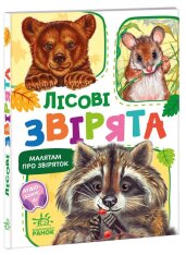 Книга Малятам про звіряток. Лісові звірята. Фото 2