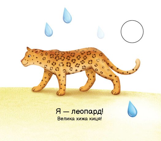 Книга Моя книжка-розкладайка. Тварини світу. Фото 7