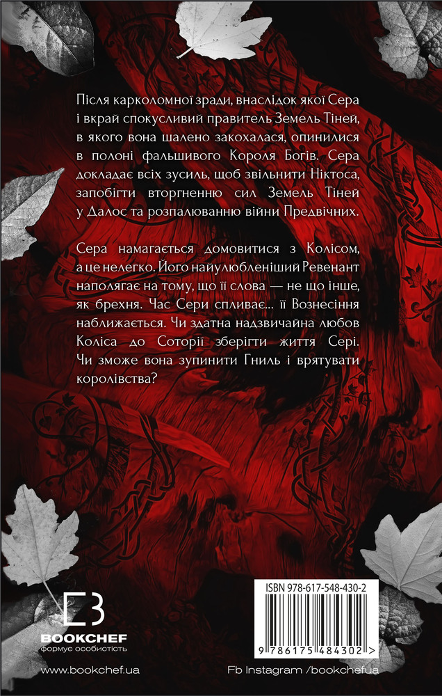 Книга Плоть і вогонь. Книга 3. Вогонь у плоті - Дженніфер Лінн Арментраут. Фото 2