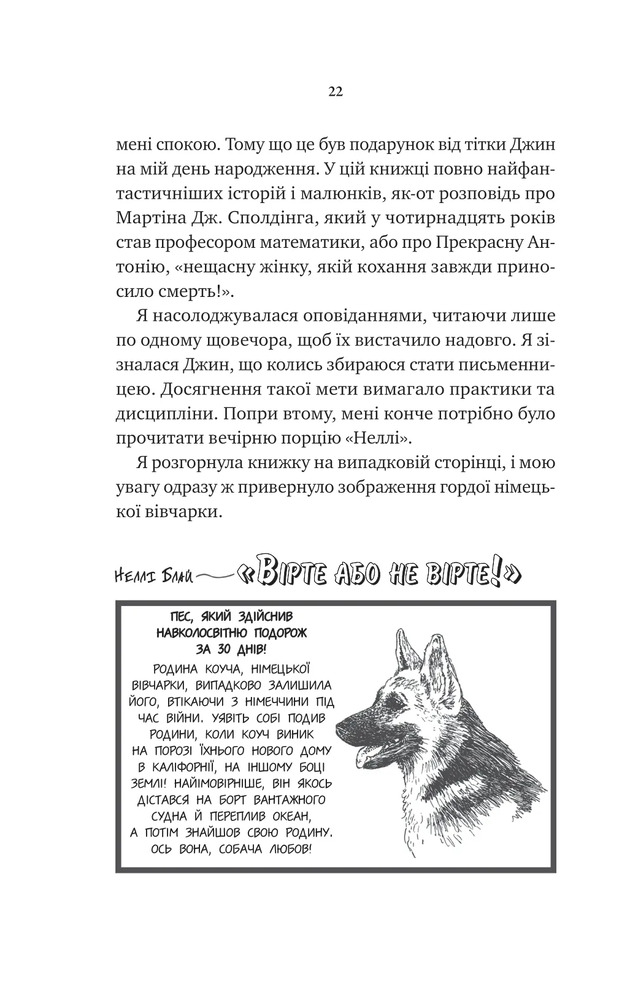 Книга Невимовні речі - Джесс Лаурі. Фото 18
