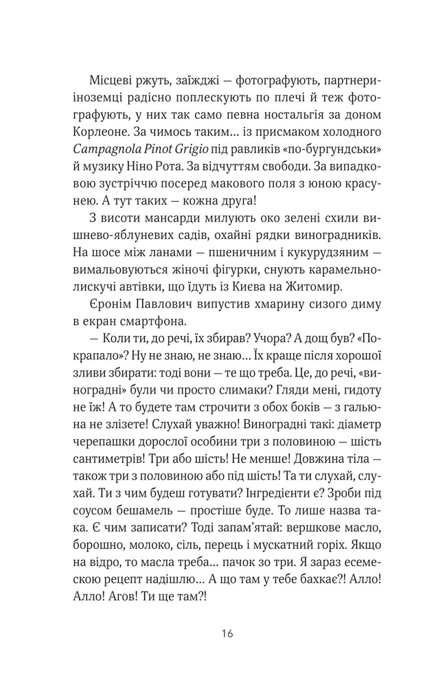 Книга ТРОє і одна - Ірен Роздобудько. Фото 13