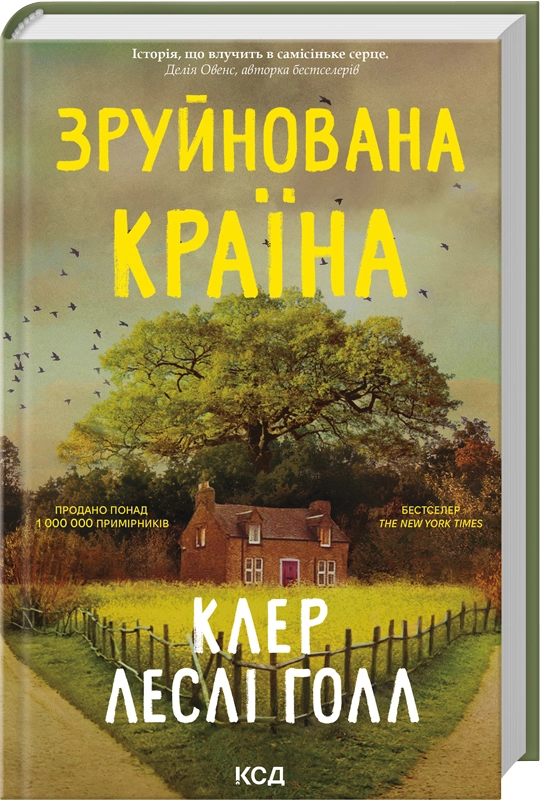 Книга Зруйнована країна - Клер Леслі Голл
