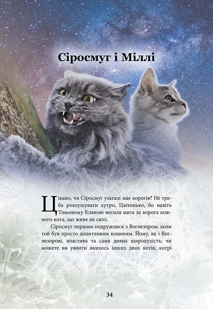 Книга Коти-вояки. Герої Кланів. Хроніки Зореклану - Ерін Гантер. Фото 7