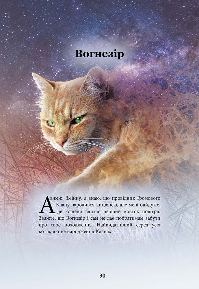 Книга Коти-вояки. Герої Кланів. Хроніки Зореклану - Ерін Гантер. Фото 5