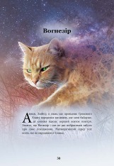 Книга Коти-вояки. Герої Кланів. Хроніки Зореклану - Ерін Гантер. Фото 5