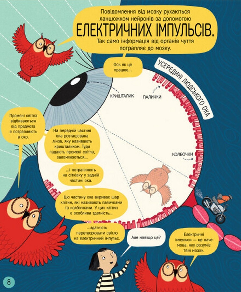 Книжка про мозок і те, як він працює - Бетіна Іп. Фото 8