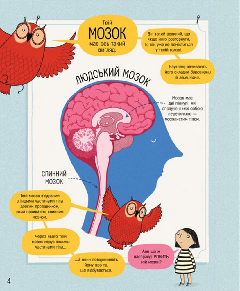 Книжка про мозок і те, як він працює - Бетіна Іп. Фото 4