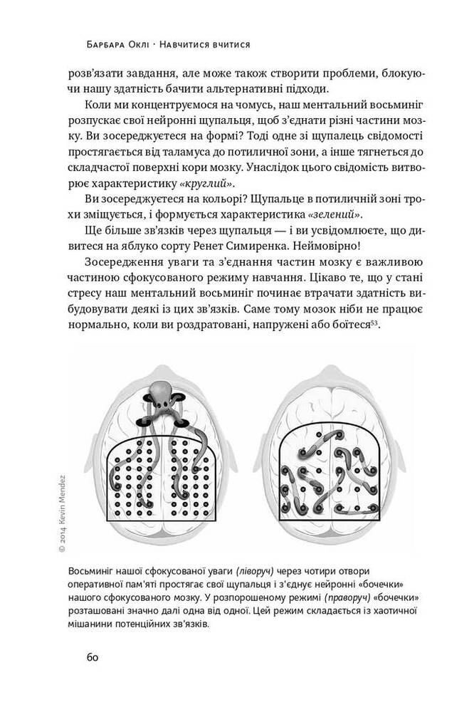 Книга Навчитися вчитися. Як запустити свій мозок на повну - Барбара Оклі. Фото 17