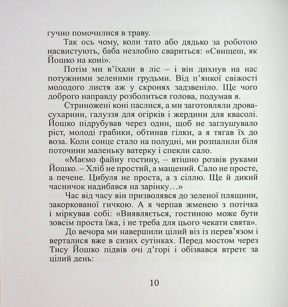 Книга Срібний ключ - Мирослав Дочинець. Фото 12