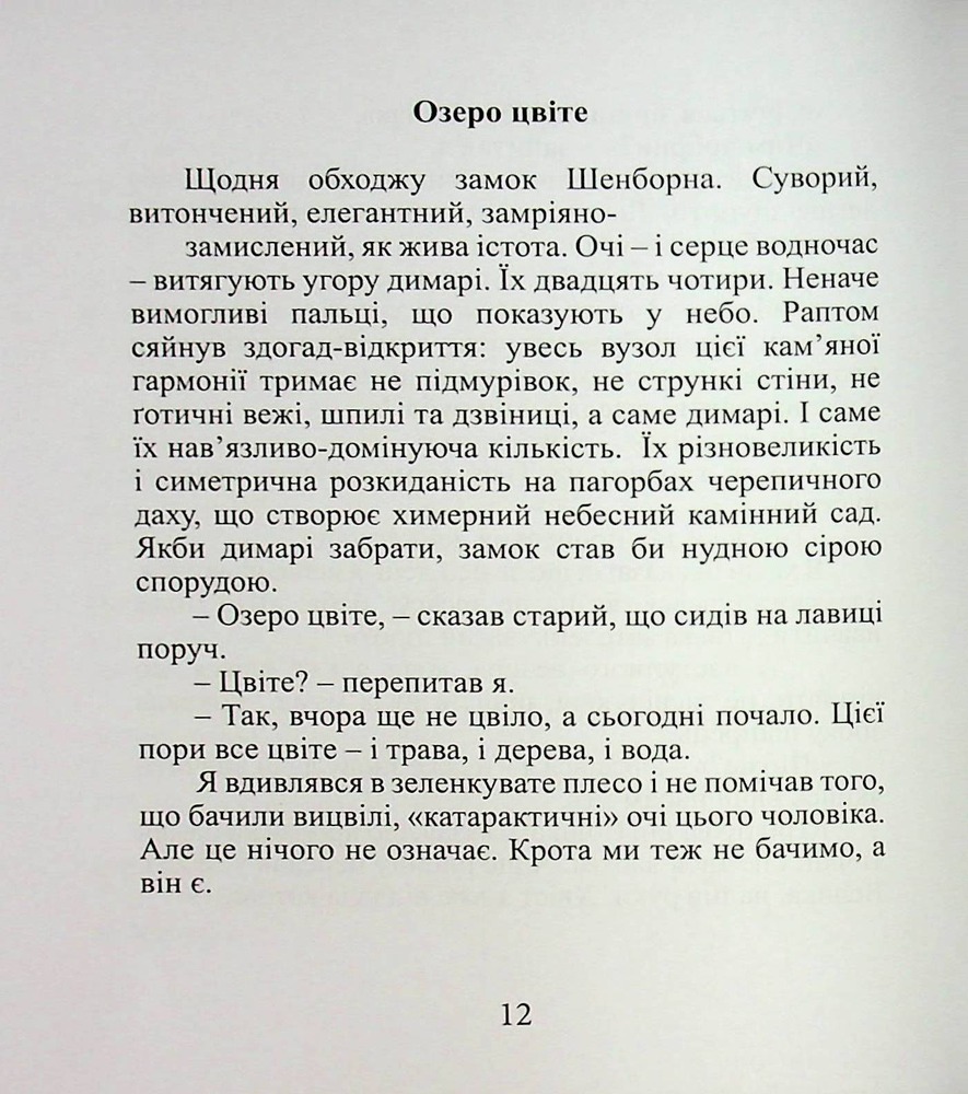 Книга Срібний ключ - Мирослав Дочинець. Фото 14