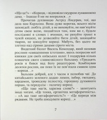 Книга Срібний ключ - Мирослав Дочинець. Фото 9