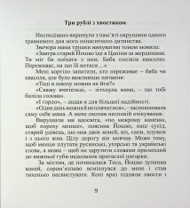 Книга Срібний ключ - Мирослав Дочинець. Фото 11