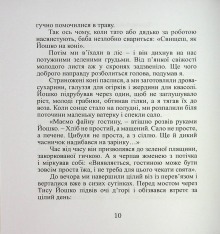 Книга Срібний ключ - Мирослав Дочинець. Фото 12