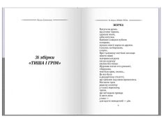 Василь Симоненко. Вибрана поезія. Є в коханні і будні, і свята…. Фото 7
