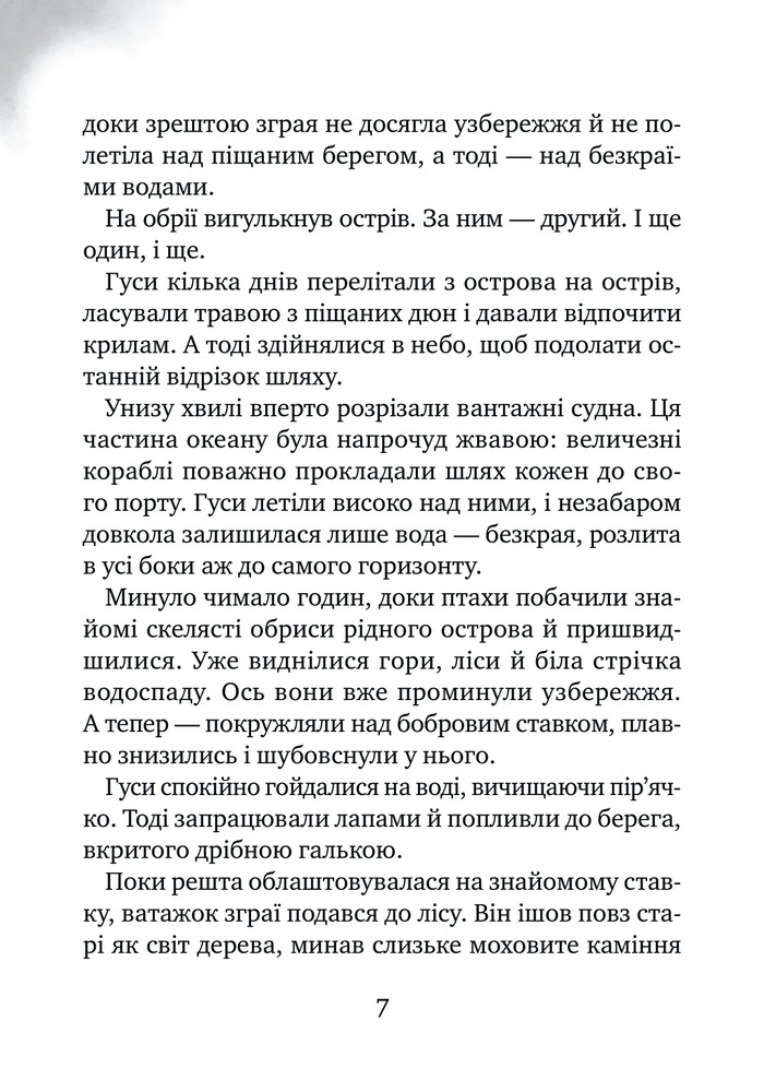 Книга Дикий робот рятує - Пітер Браун. Фото 4