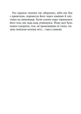 Книга Дикий робот рятує - Пітер Браун. Фото 11