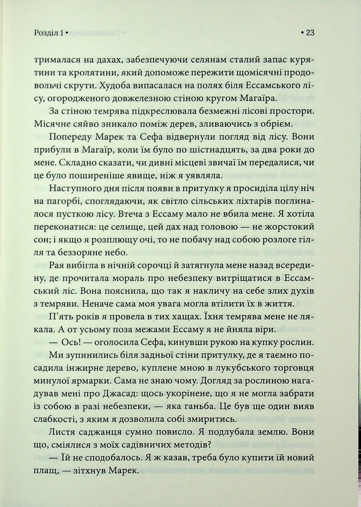 Книга Спадкоємиця Джасада. Книга 1 - Сара Гашем. Фото 17