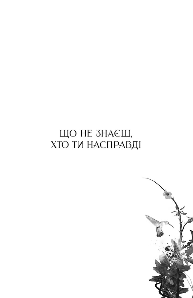 Книга Майстриня Марев. Сигнал і символ. Том 1 - Ельвіра Цайсслер. Фото 5