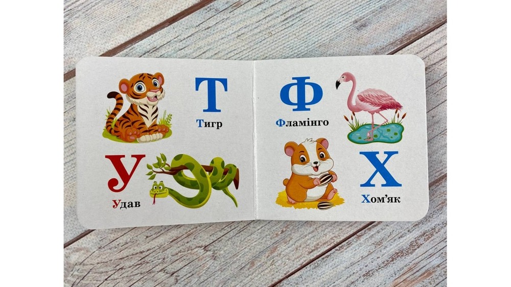 Книга Навколишній світ для найменших. Абетка. Фото 6