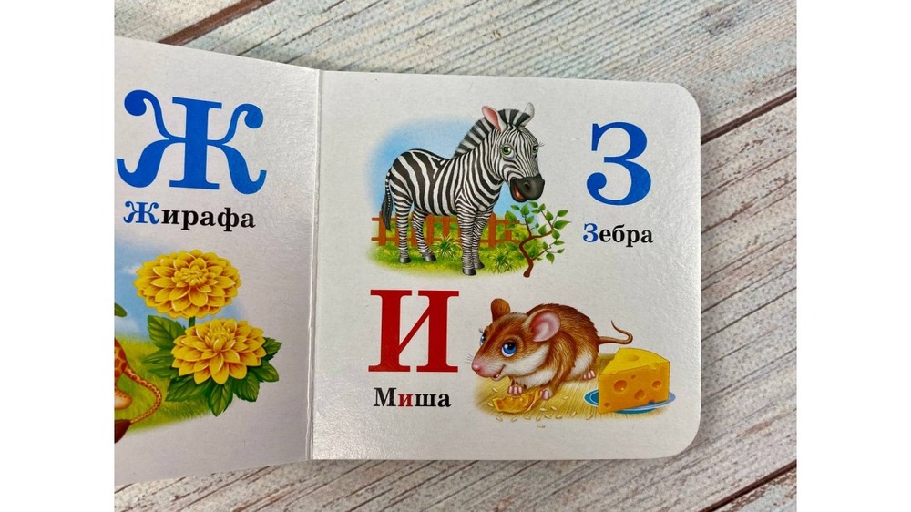 Книга Навколишній світ для найменших. Абетка тварин. Фото 4