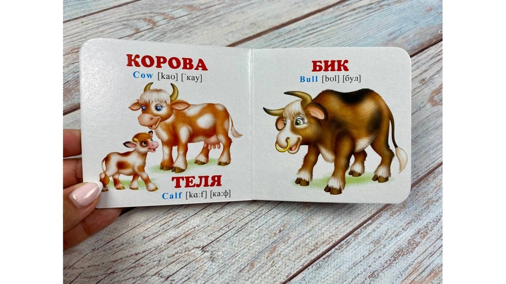 Книга Навколишній світ для найменших. Мами, тати, малюки. Фото 4