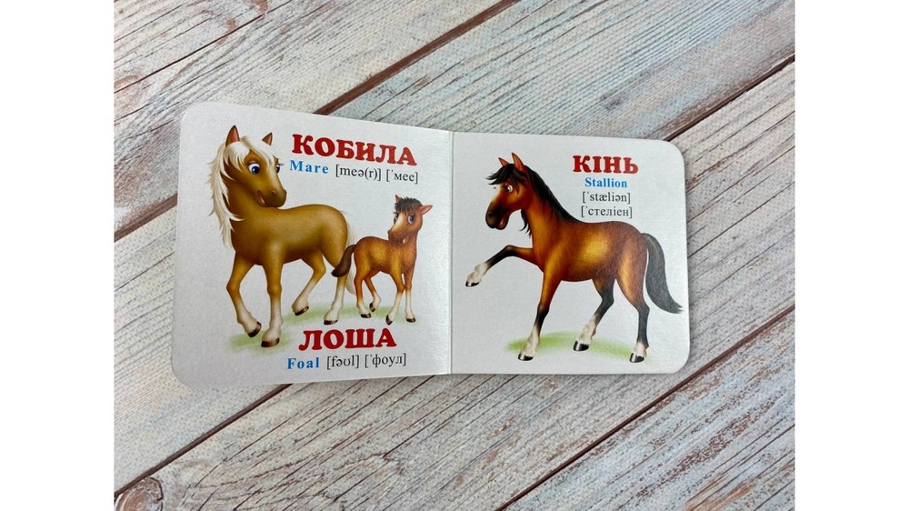 Книга Навколишній світ для найменших. Мами, тати, малюки. Фото 5
