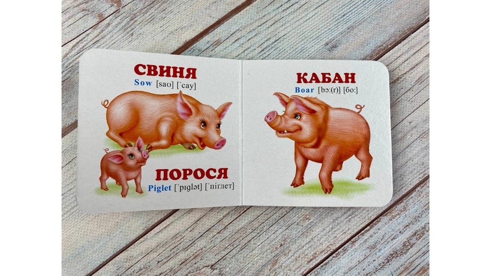 Книга Навколишній світ для найменших. Мами, тати, малюки. Фото 6