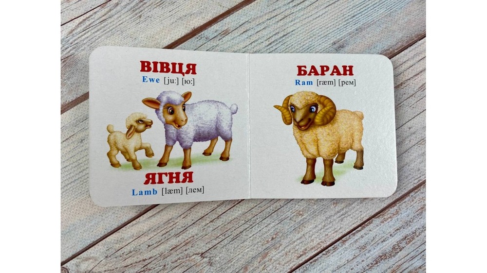 Книга Навколишній світ для найменших. Мами, тати, малюки. Фото 7