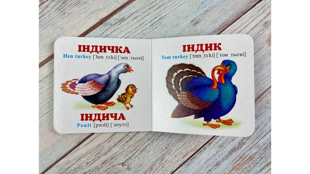 Книга Навколишній світ для найменших. Мами, тати, малюки. Фото 8