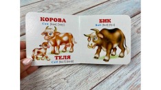 Книга Навколишній світ для найменших. Мами, тати, малюки. Фото 4