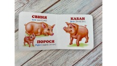 Книга Навколишній світ для найменших. Мами, тати, малюки. Фото 6