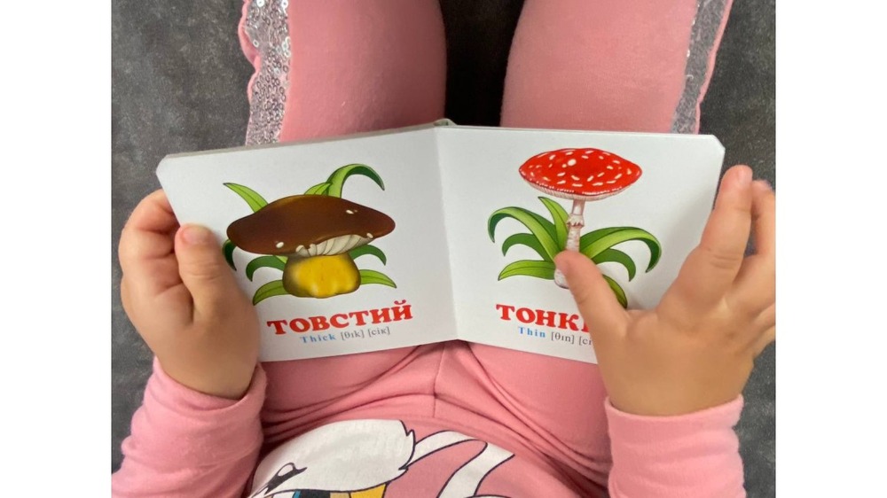 Книга Навколишній світ для найменших. Порівняння. Фото 8