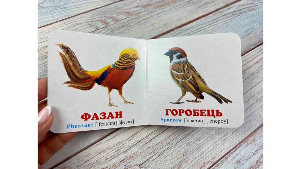 Книга Навколишній світ для найменших. Птахи. Фото 2