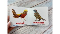 Книга Навколишній світ для найменших. Птахи. Фото 2