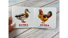 Книга Навколишній світ для найменших. Птахи. Фото 3