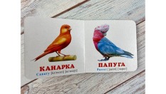 Книга Навколишній світ для найменших. Птахи. Фото 6