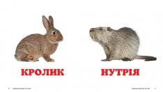 Книга Навколишній світ для найменших. Свійські тварини. Фото 3