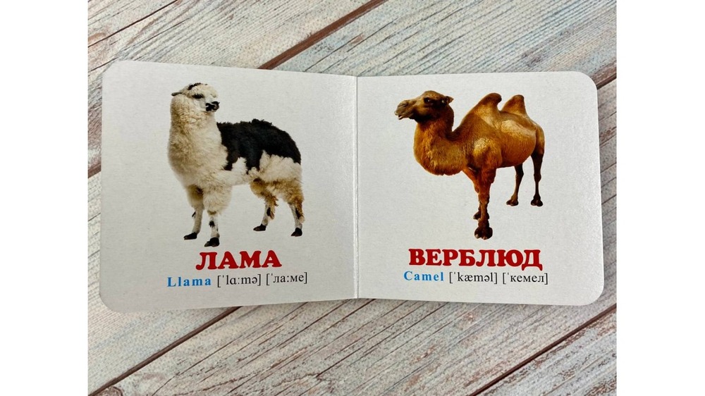 Книга Навколишній світ для найменших. У зоопарку. Фото 3