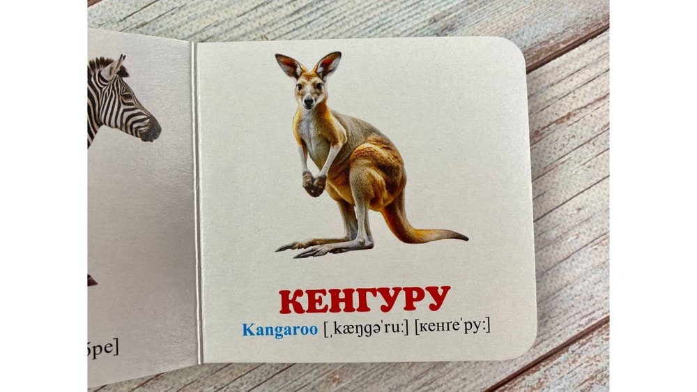 Книга Навколишній світ для найменших. У зоопарку. Фото 4