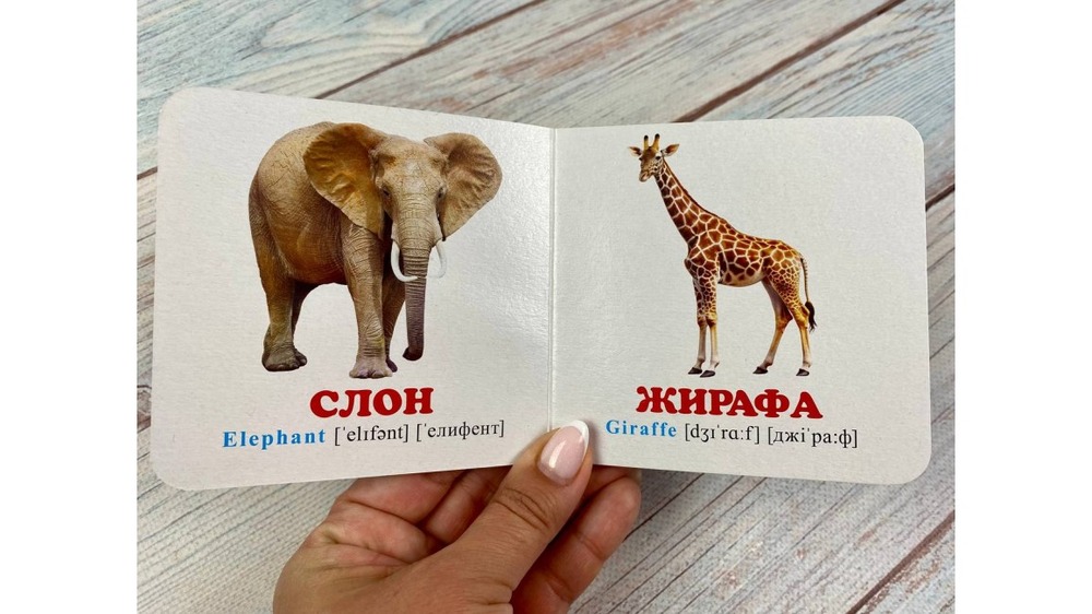 Книга Навколишній світ для найменших. У зоопарку. Фото 5