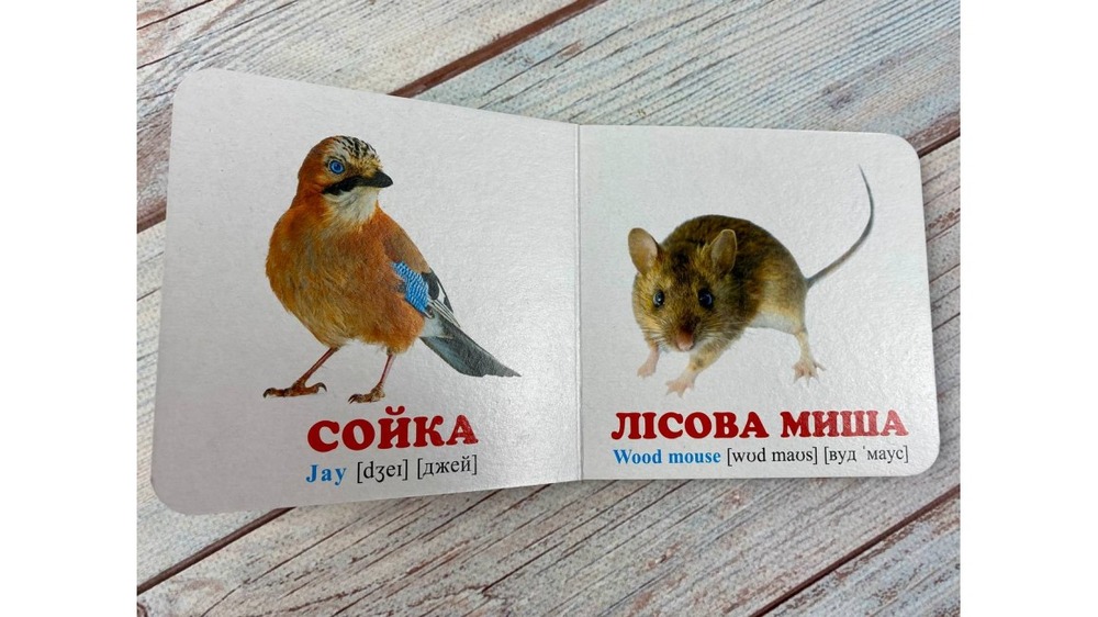 Книга Навколишній світ для найменших. У лісі. Фото 6