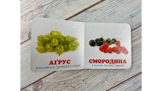 Книга Навколишній світ для найменших. Фрукти. Фото 6